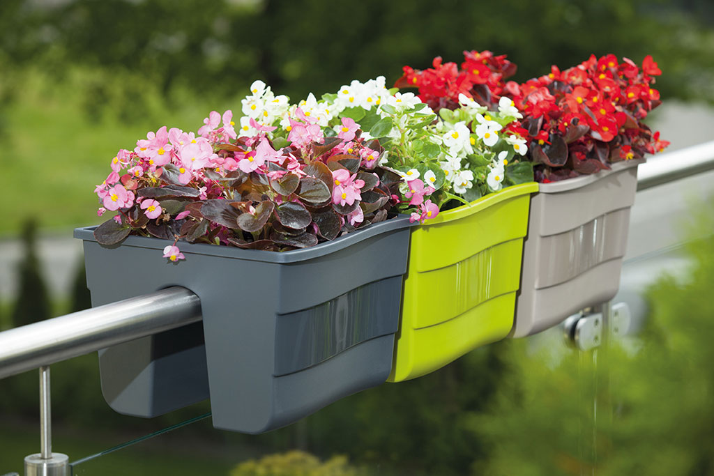 Ящики для цветов на балконе как создать красочный оазис и выбрать и ухаживать за растениями