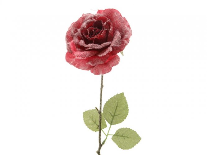 Роза шелковая заснеженная