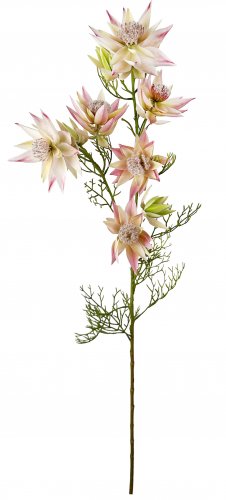 Искусственная Серрурия розово-кремовая 68 см