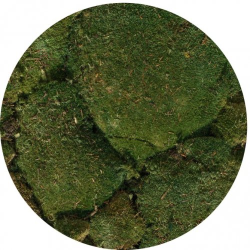 Сферы из мха зеленые