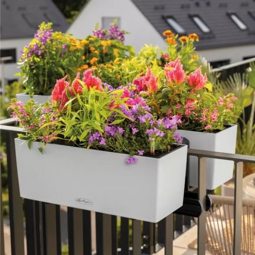 Кашпо Lechuza Balconera Color 40