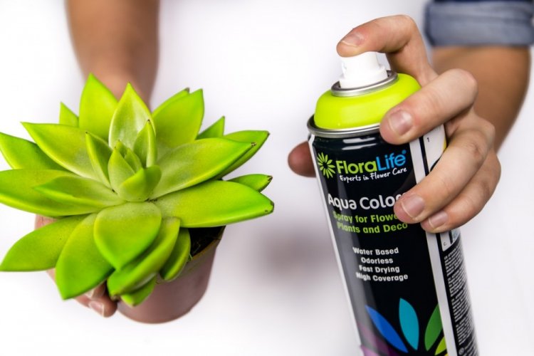 Спрей-краска Floralife® Aqua Colors Spray