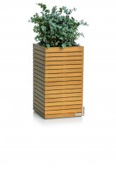 4008789167736_PAL45_high_Natural_Wood_Euca_1.jpeg