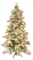 christmas_trees42898.jpg