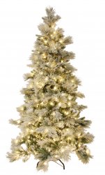 christmas_trees42899.jpg