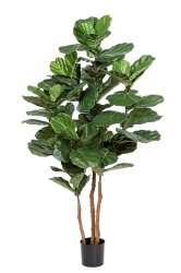 56906N-iskusstvennyj-ficus-elastica-nitida-kauchukonosnyj-190-cm.jpg
