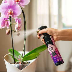 sprey-dlya-orhidey-lechuza-orchid-gloss-225ml-flora.by.jpg