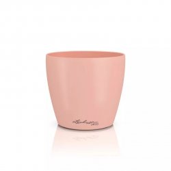 DECO 14 magnolie.jpeg