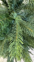 IMG_7075.jpeg