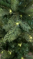 IMG_7081.jpeg