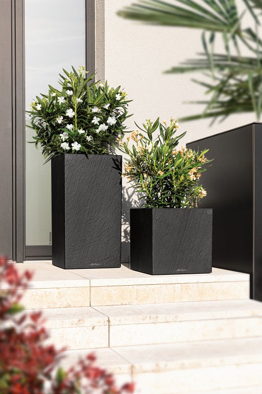 4008789159533_4008789159588_CANTO_40_slatestone_dark_grey_LED_Neri_olea_2023.jpg