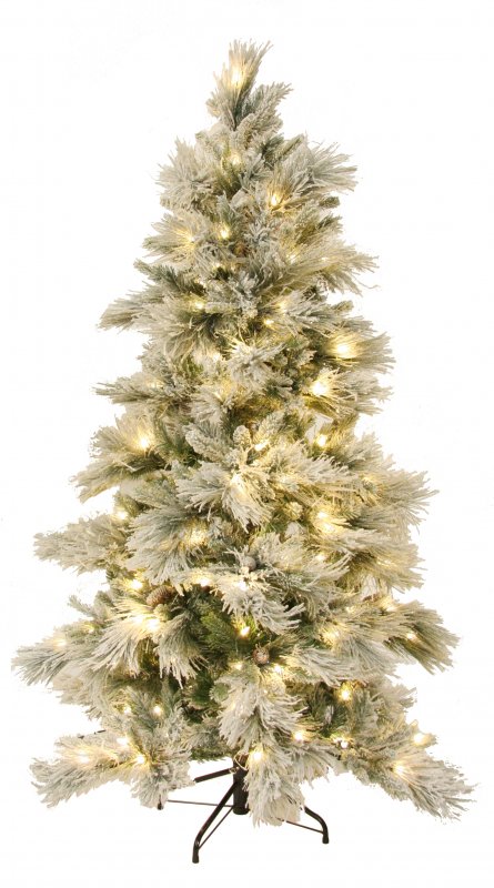 christmas_trees42898.jpg