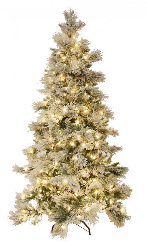 christmas_trees42899.jpg