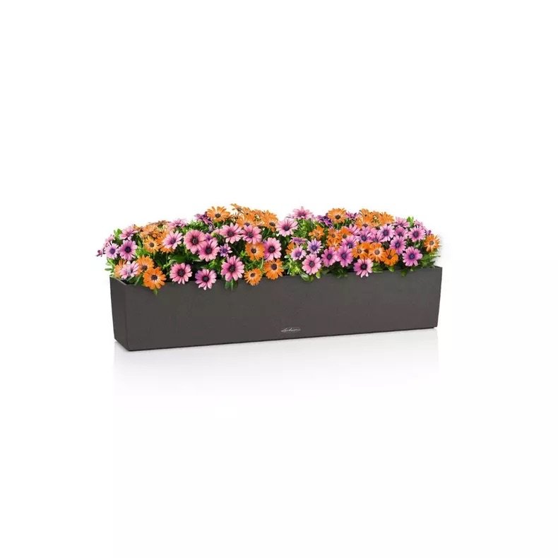 BALCONERA Stone 100 graphitschwarz.jpeg