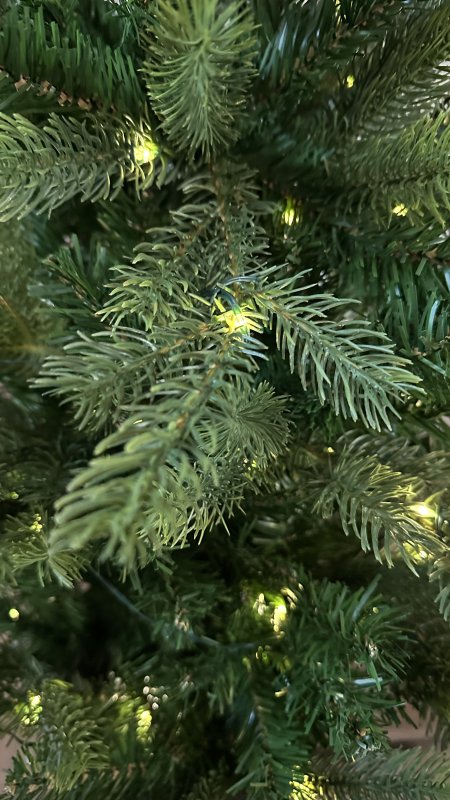 IMG_7081.jpeg