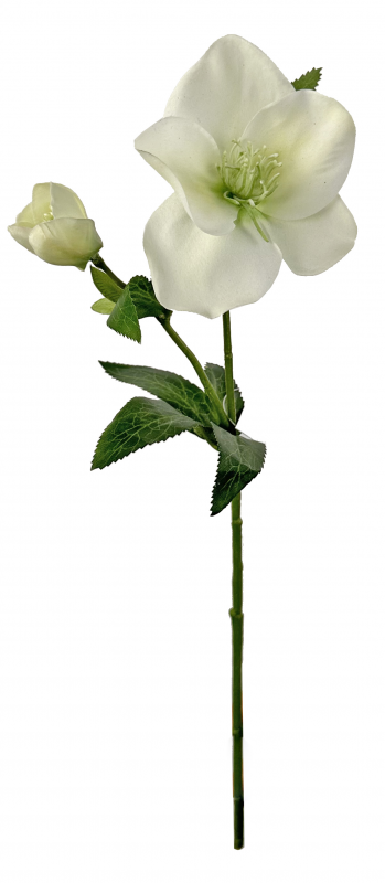 _2026-06-03_130523314.png