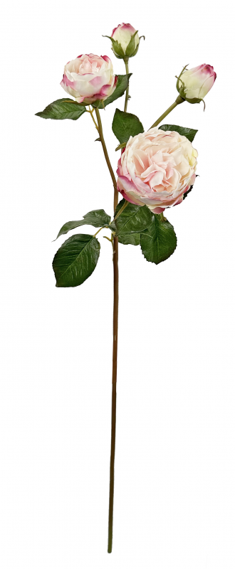 _2026-06-05_123426764.png