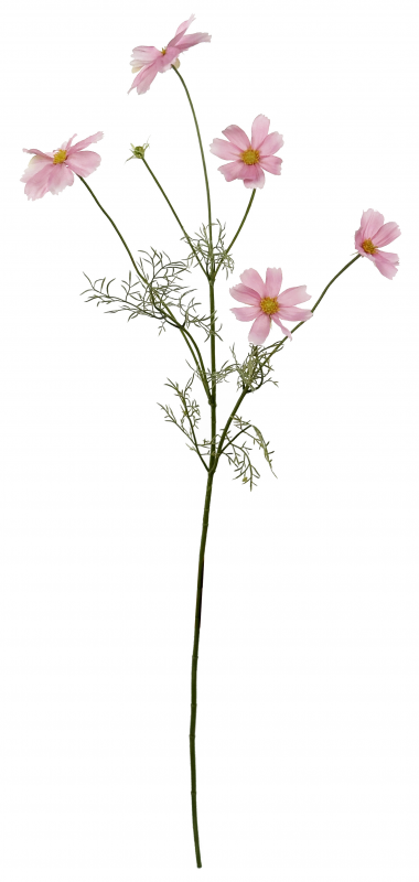 _2026-06-15_123518003.png