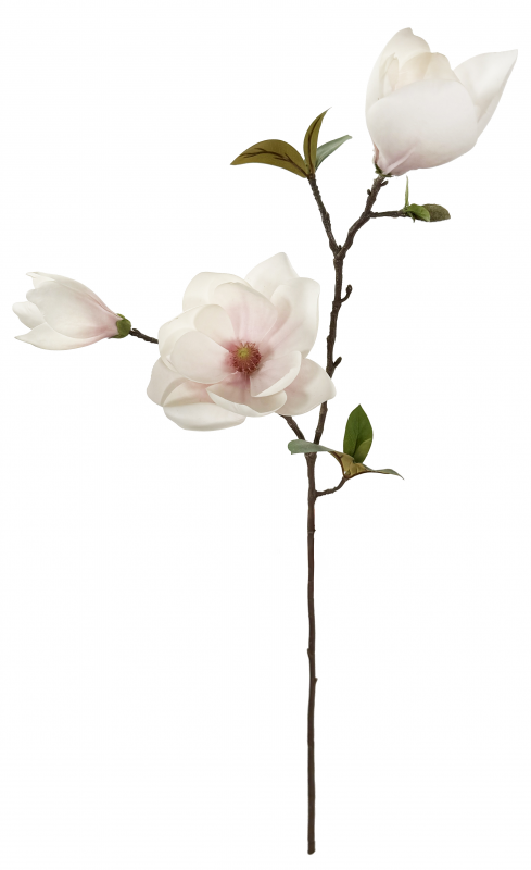 _2026-07-20_131139414.png