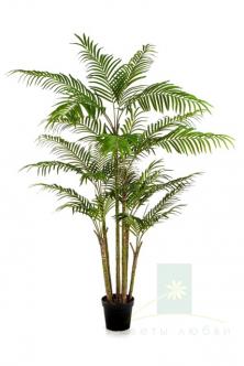 Искусственная Бамбуковая пальма (Bamboo Palm) 215 см