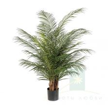 Искусственная пальма Феникс Нитида Де Люкс (Phoenix Nitida Palm De Luxe) 150 см