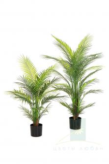 Искусственная пальма Арека Нитида (Arecapalm Nitida)