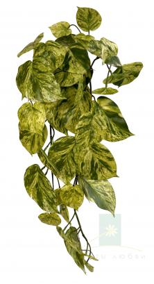 Золотистый сциндапсус искусственный SHISHI 91 см