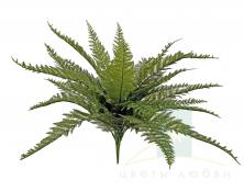 Куст папоротника SHISHI 55 см