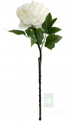 Белый пион искусственный SHISHI 60 см