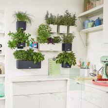 Кашпо Green Wall Home Kit