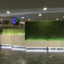 Озеленение бизнес-зала