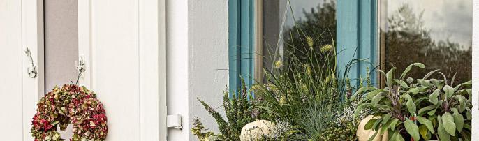 Озеленение квартиры своими руками — выбираем балконные ящики для цветов