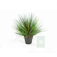 Искусственная трава Осока 50 см - 70 см в кашпо