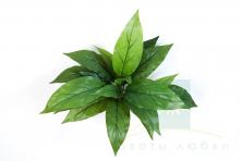 Искусственная Кордилина микс 30 см – Яркий акцент в компактном формате