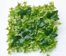 Ковёр из плюща 30×30 см — Зелёный и пёстролистный