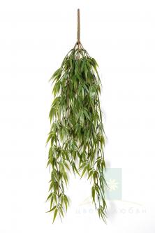 Ампельный бамбук 60–115 см – Свисающая зелень с восточной грацией