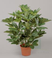 Искусственное растение Шеффлера 45см