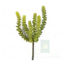 Крассула Перфората 17 см — Искусственный суккулент в минимализме