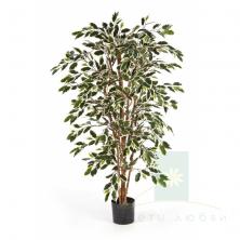 Искусственный Фикус Нитида пестролистный – Акцентное растение для стильного интерьера