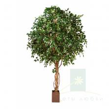 Гигантский Искусственный Фикус Экзотика 300–360 см – Эффектное интерьерное дерево для масштабных пространств