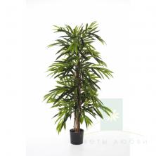 Искусственная Лонгифолия De Luxe – Элегантность и строгость в зелёном исполнении