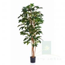 Искусственное Кофейное дерево с цветами 120–210 см – Тропическая элегантность в интерьере