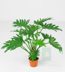 Искусственное растение Филодендрон 43 см