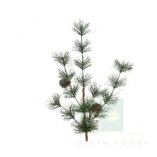 Ветка еловая с шишками