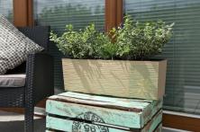 Кашпо LAMELA Бегония рефленый