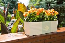 Кашпо LAMELA Бегония